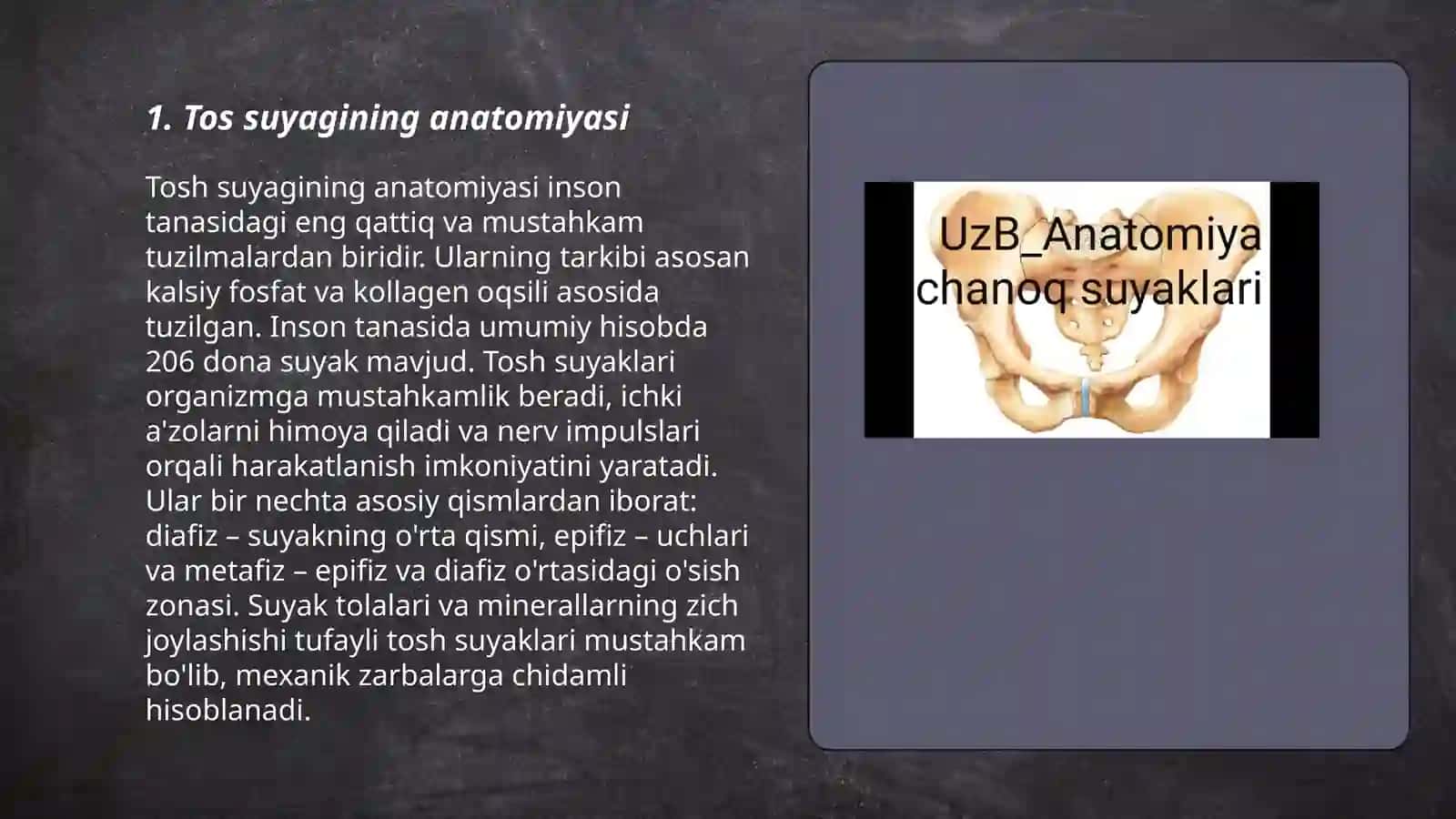 Tos suyagi 3