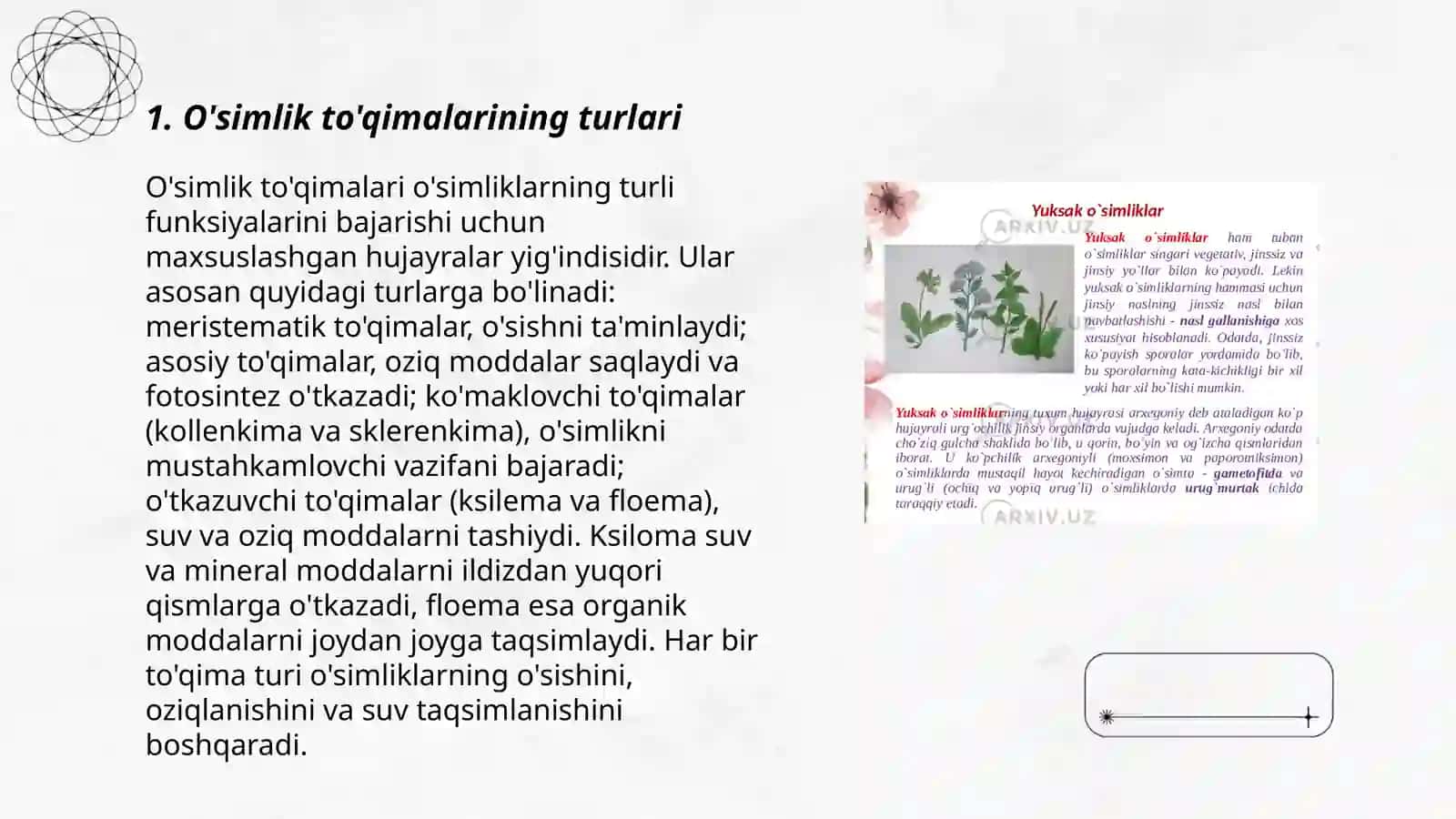 O'simlik to'qimalari 3