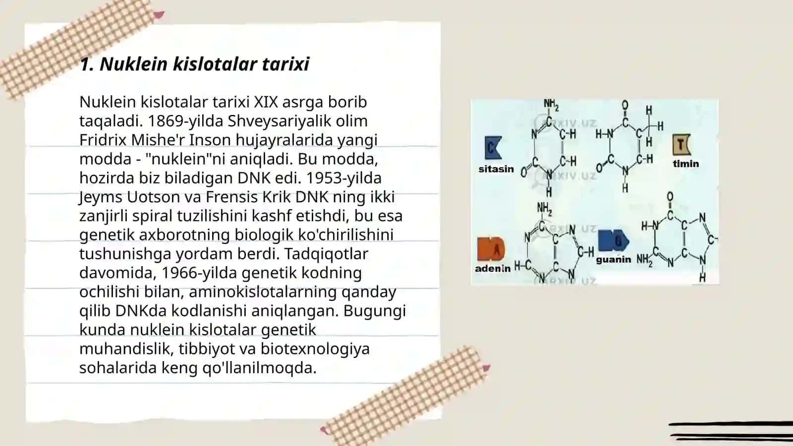 Nuklein kislotalar 3