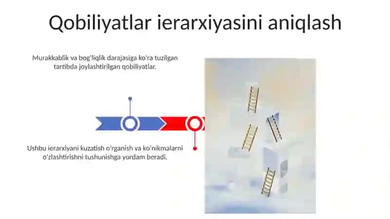 Qobilyat ierarxiyasi va rivojlanish haqida mushohadalar 3