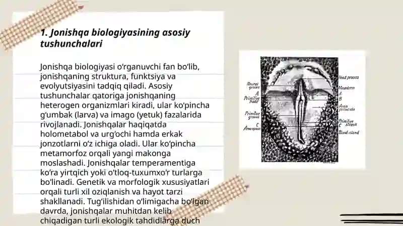 Jonishqa biologiyasi ham jetistiriw texnekasi 3