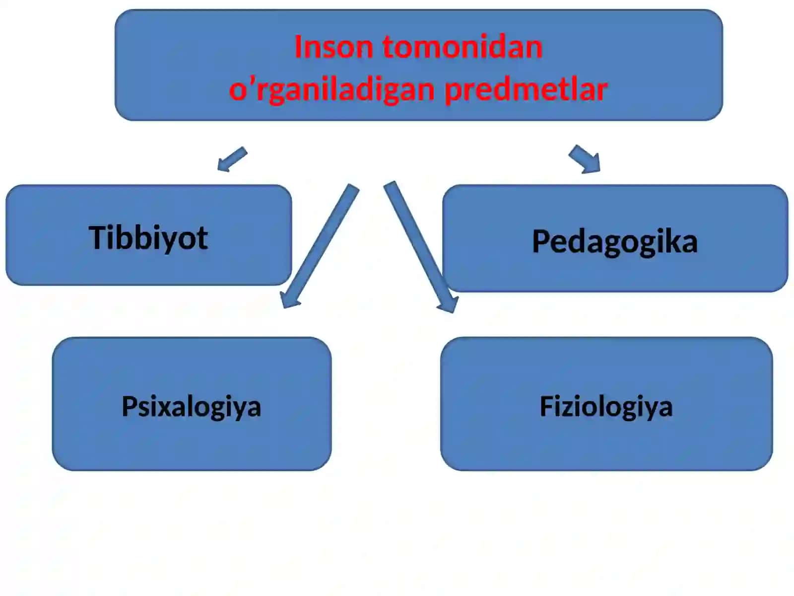 Inson falsafasi (Falsafiy antropologiya). Pragmatizm-tadbirkorlik falsafasi 3
