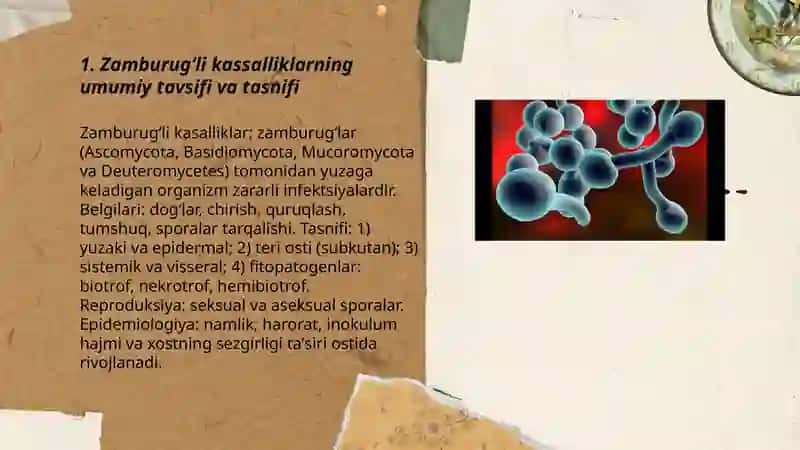 Zamburugʻli kassalliklar va ularning oʻziga xosligi 3