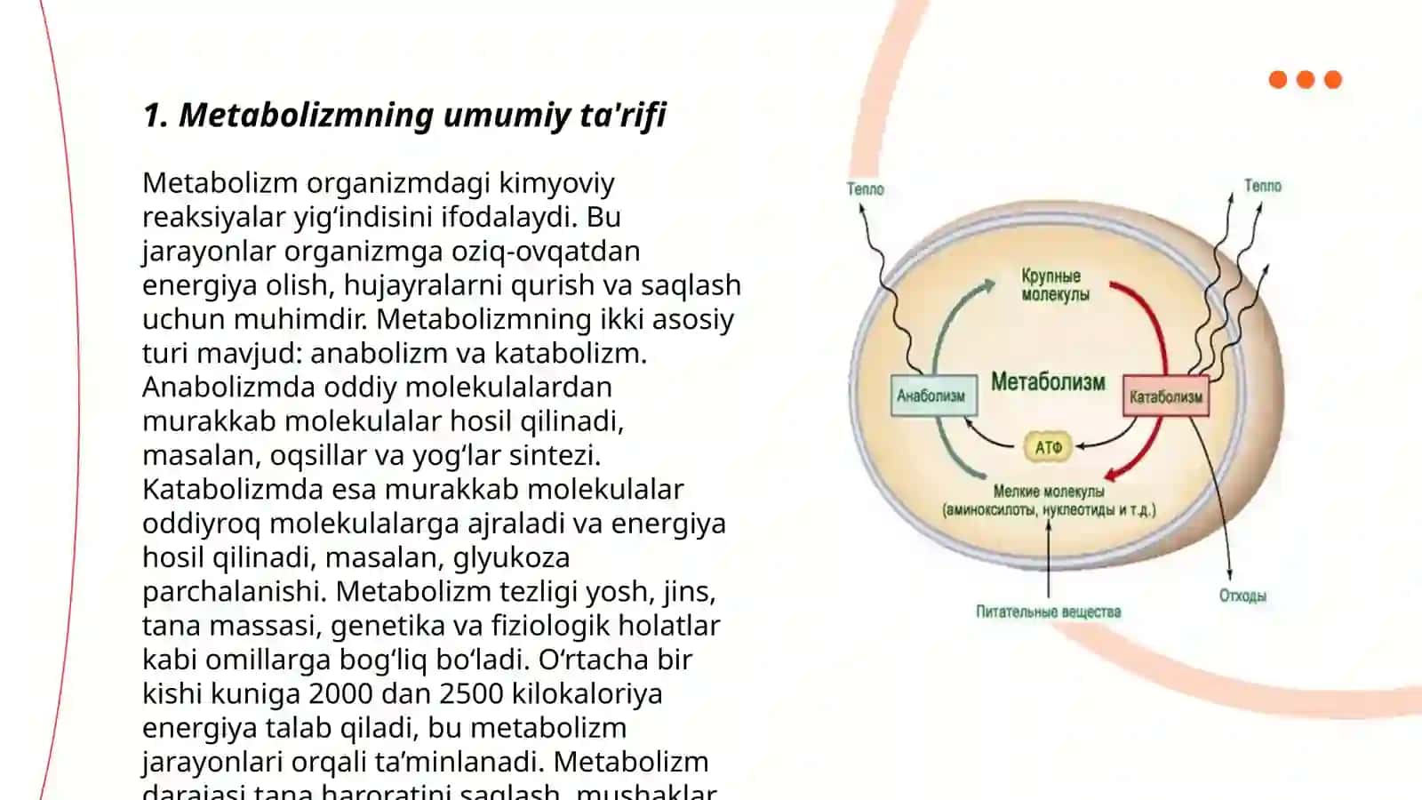 Metobalizm jarayonida energiya hosil bòlishi va sarflanishi 3