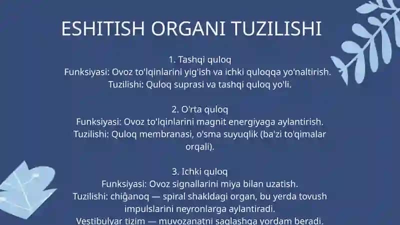 Vibratsiyaning eshitish va muvozanat organlari tuzilishiga tasiri 3