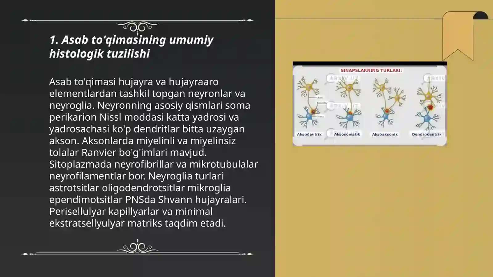 Asab toʻqimasi tuzilishi va turlari 3