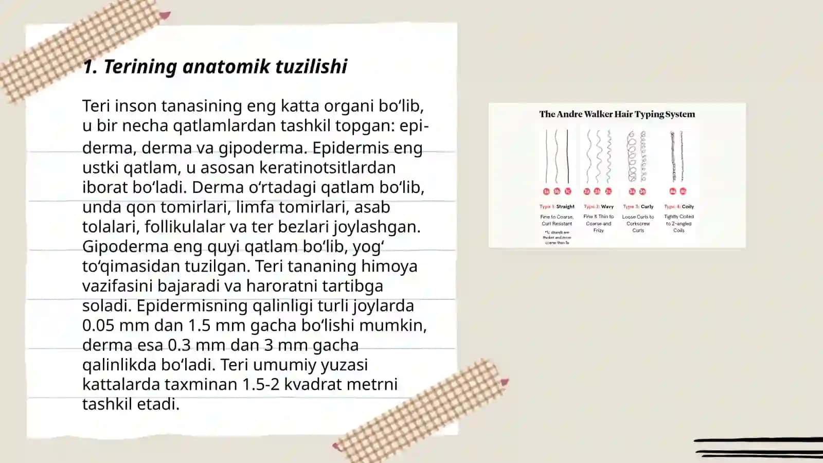 Teri va soch tuzulishi. Epidermis va derma qavatlar 3