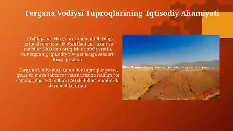 Farg'ona Vodiysi Tuproqlarining Iqtisodiy Ahamiyati 3