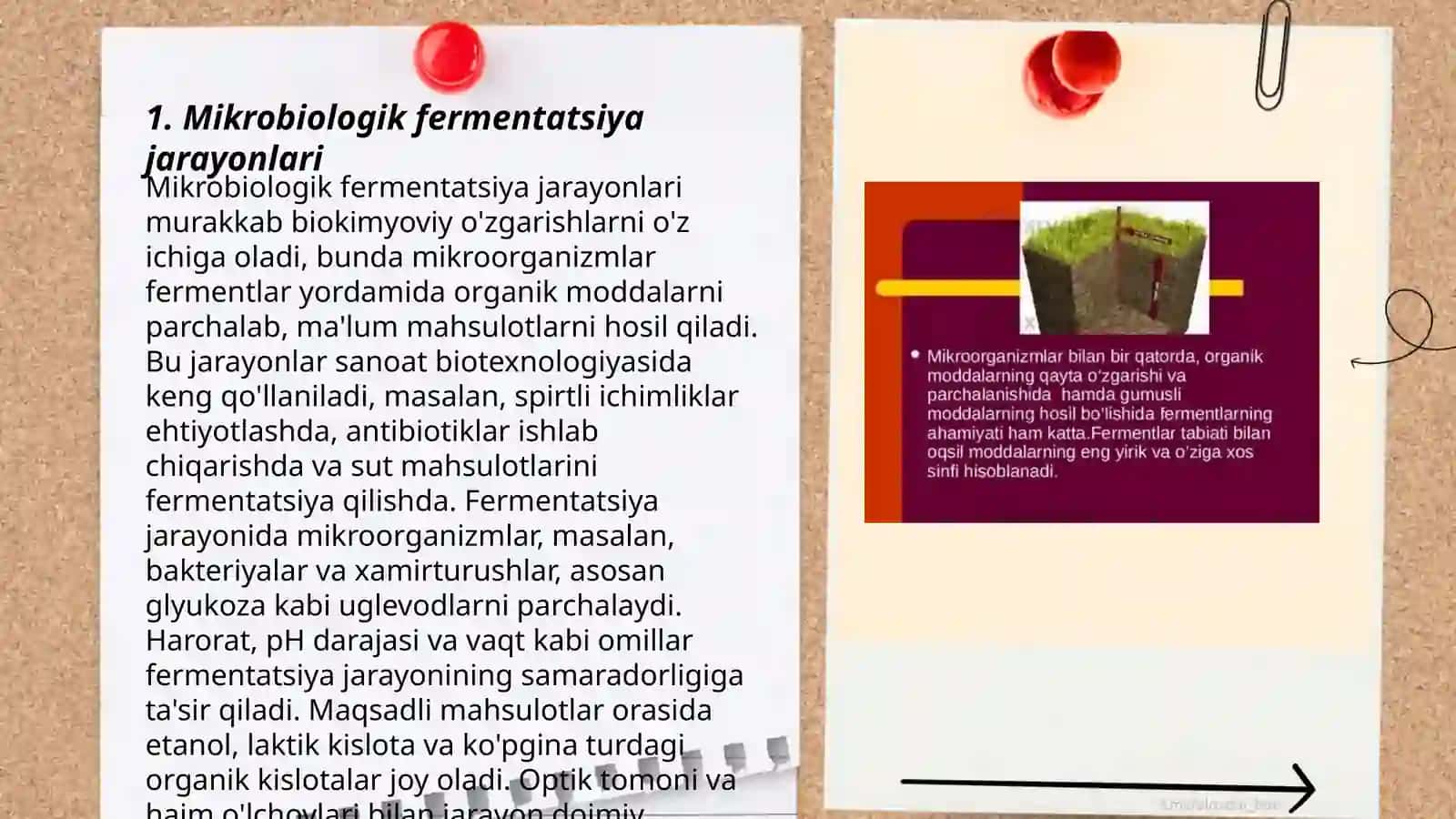 Mikrobiologik fermentatsiya jarayonlari 3