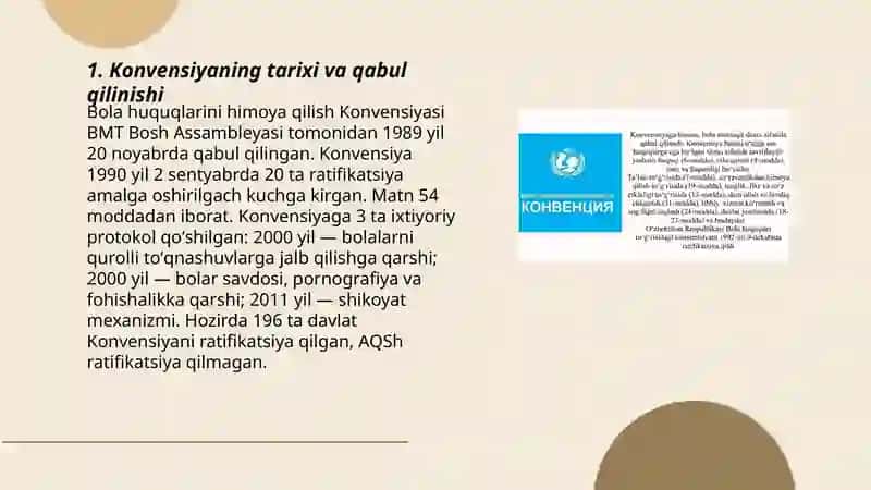 Bola huquqlarini himoya qilish Konvensiyasi 3
