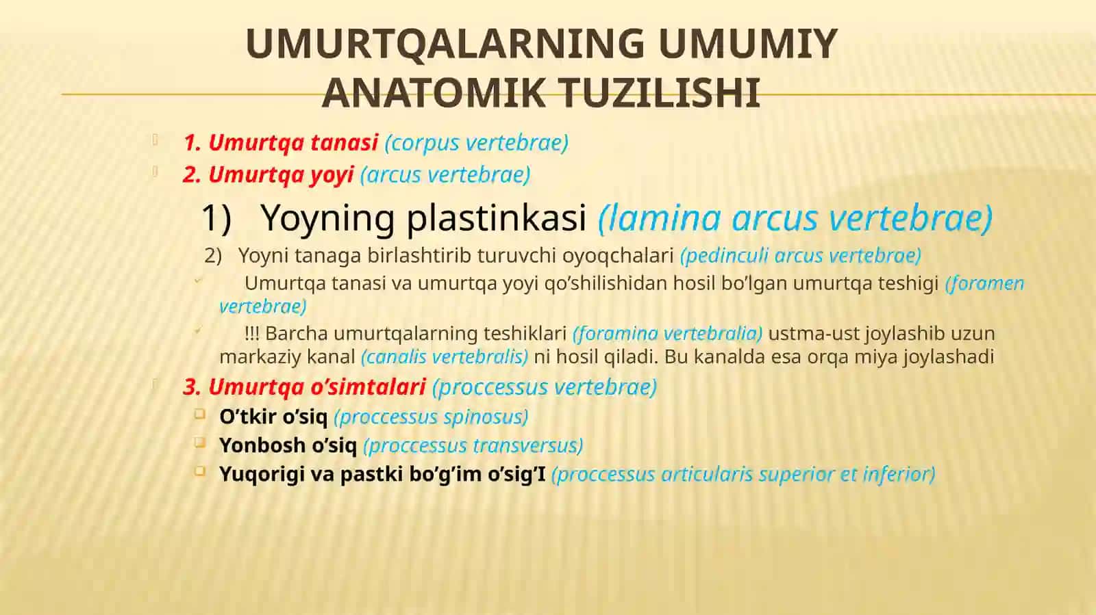 UMURTQALAR ANATOMIYASI 3