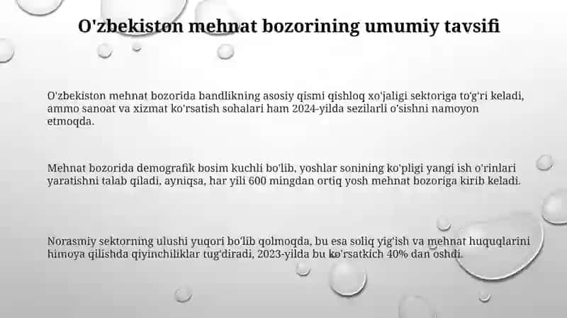 Oʻzbekiston Respublikasi mehnat bozorining oʻziga xos xususiyatlari 3