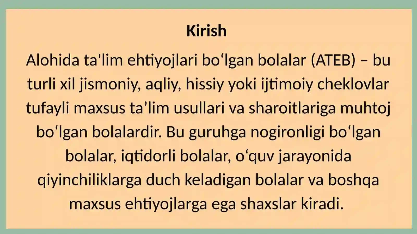 Alohidata’limehtiyojlari bo‘lgan bolalar uchun individual ta’lim yo‘nalishlari 3