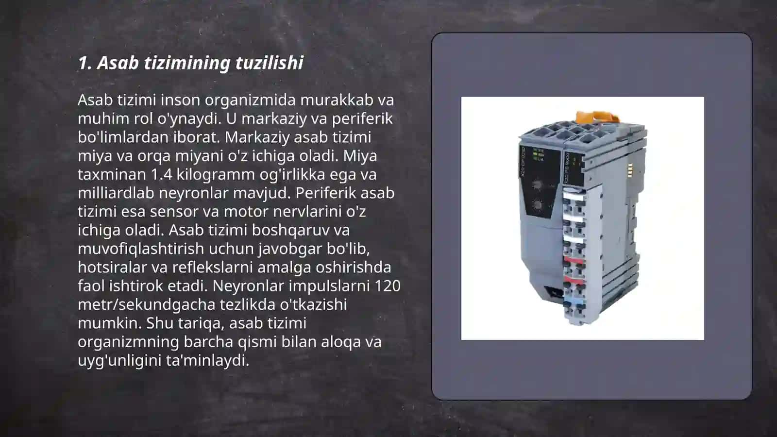 Asab tizimida kompensator moslashuv Asab tizimini trofik funksiyasi 3
