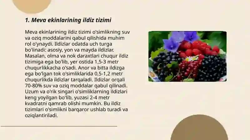 Rezavor meva ekinlarining morfologik tuzilishi 3