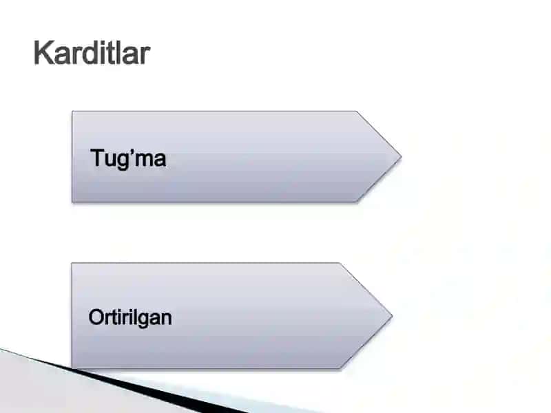 Miokarditlar 3