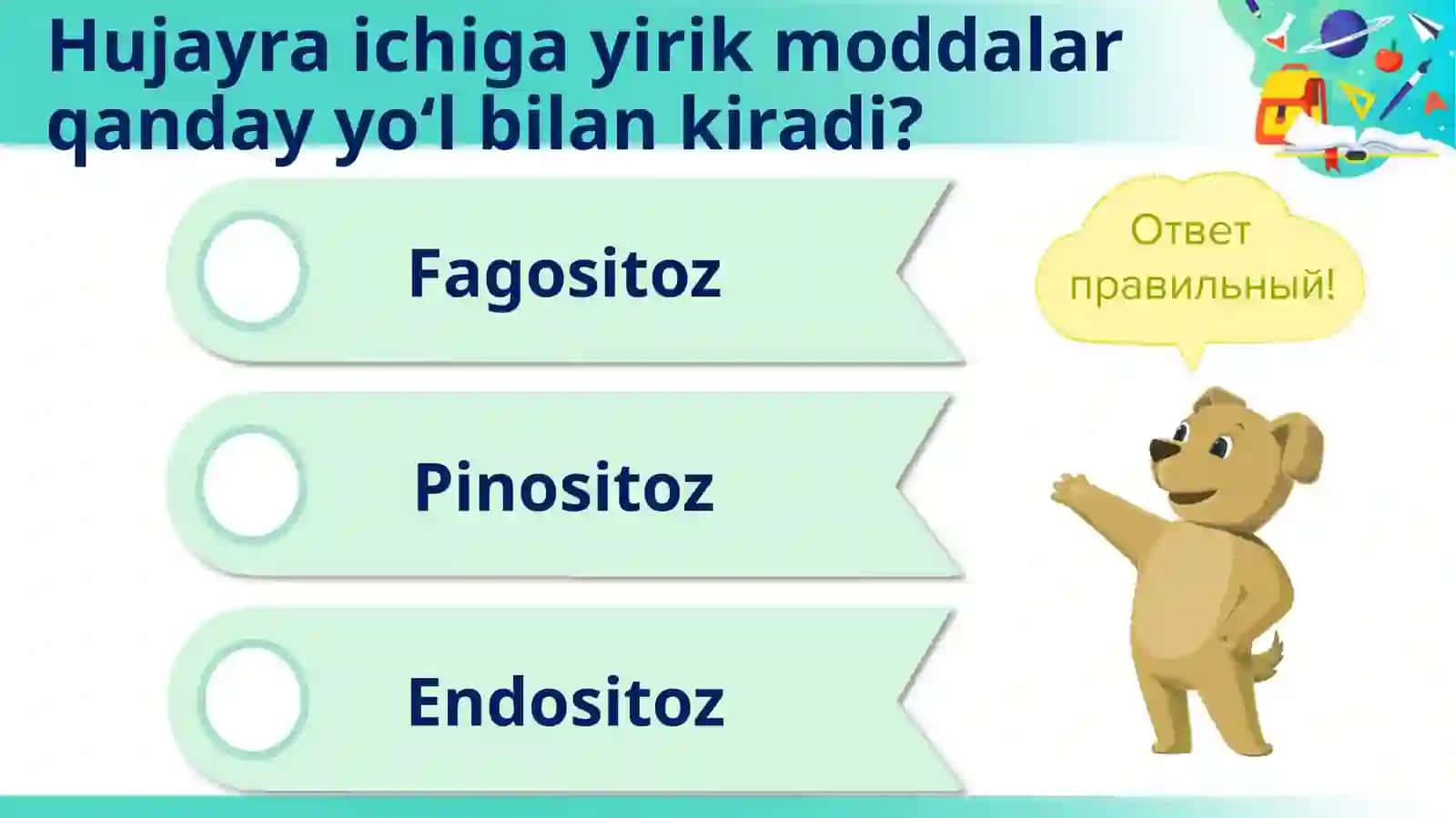 10-sinf Biologiya Sitoplazma, Hujayraning membranasiz va membranali organoidlari 3