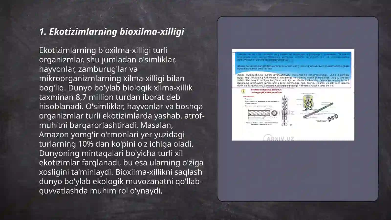 Ekotizimlarning mahsuldorligi 3