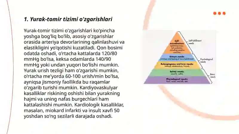 Keksa organizmning fiziologik xususiyatlari 3