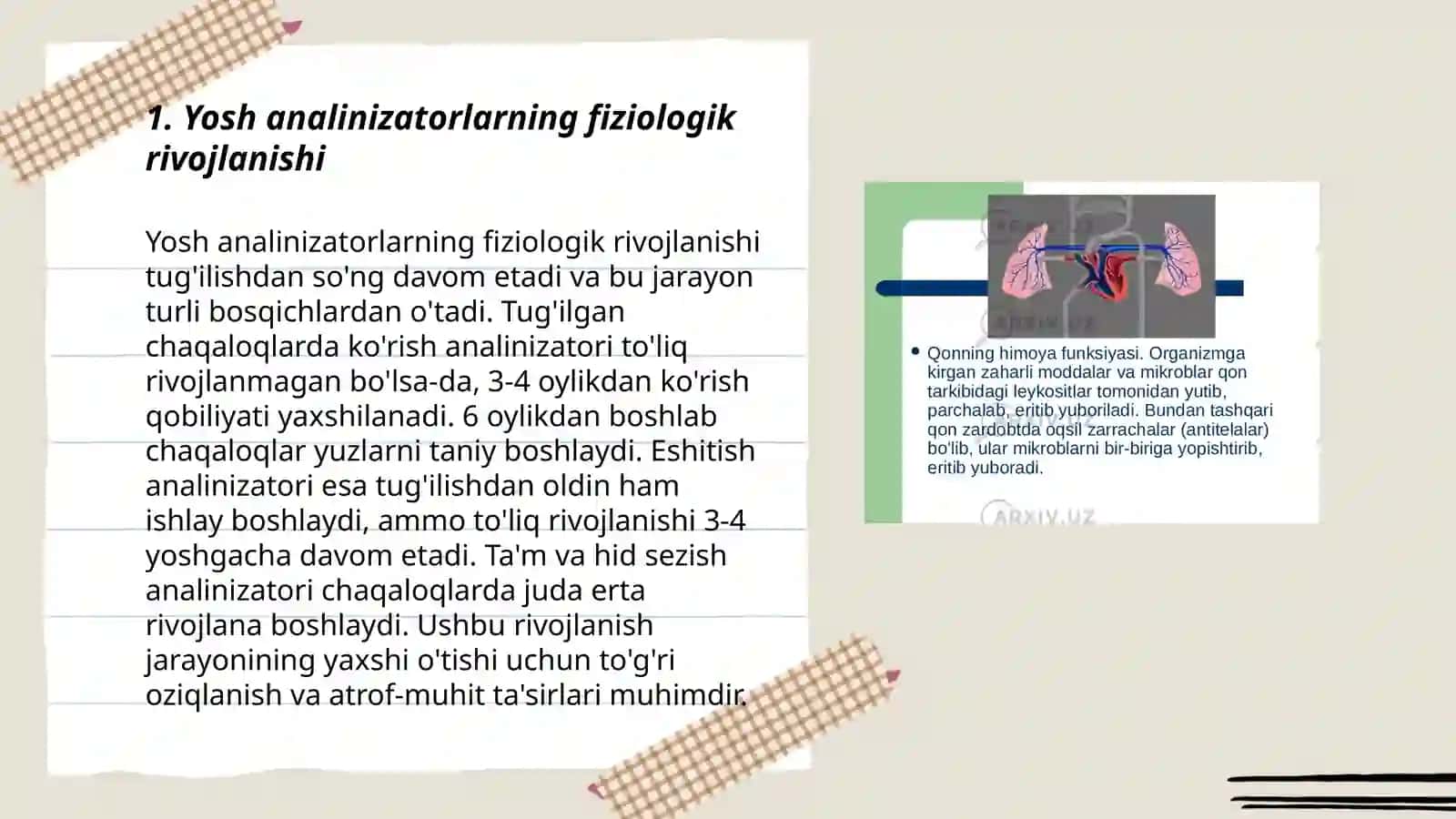 Yosh analinizatorlarning fiziologik rivojlanishi 3