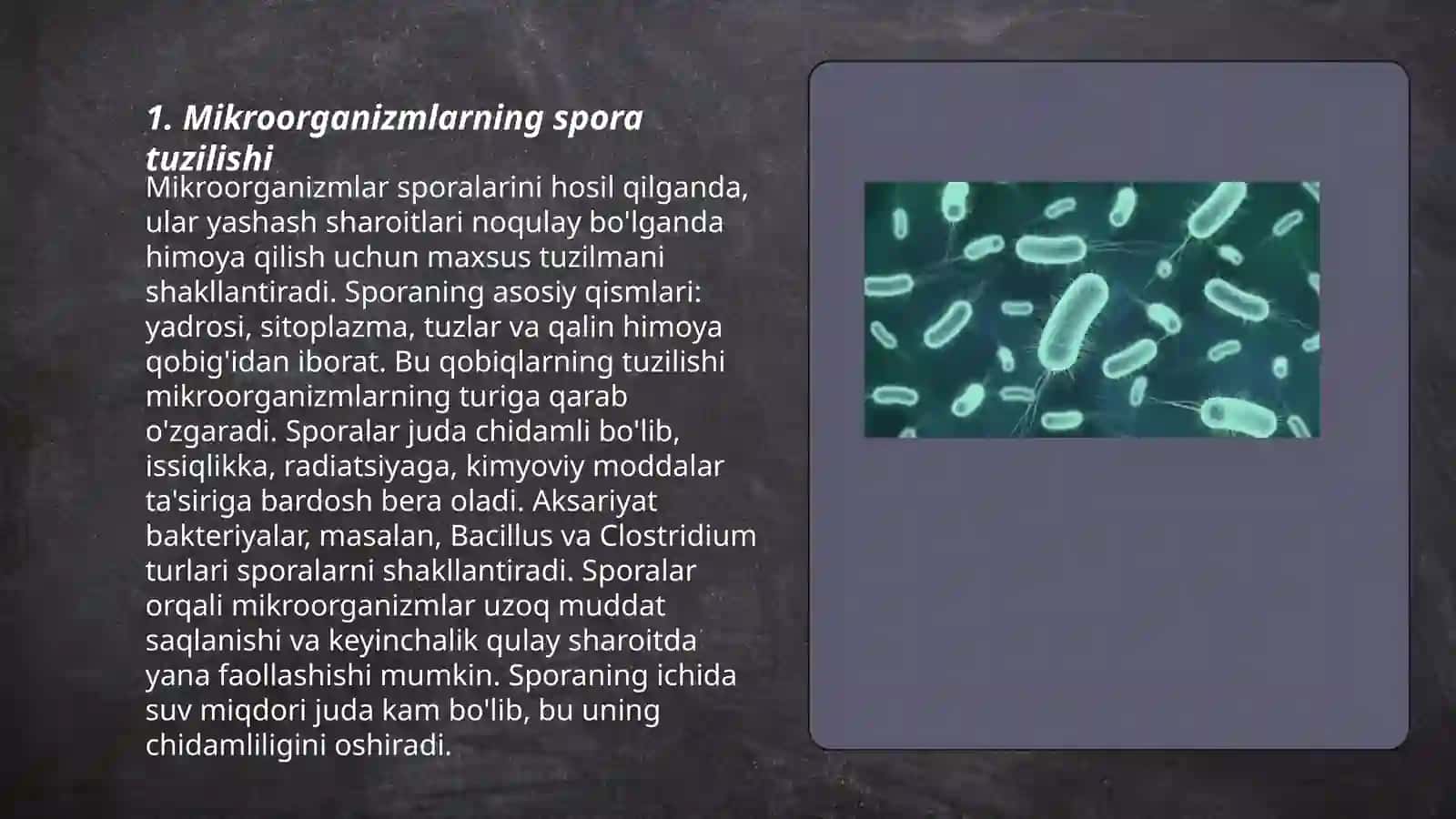 Mikroorganizmlarning spora va kapsulasi 3