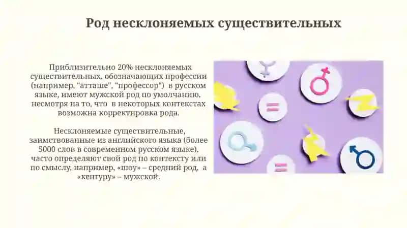 Определение рода имен существительных по значению и окончанию 3