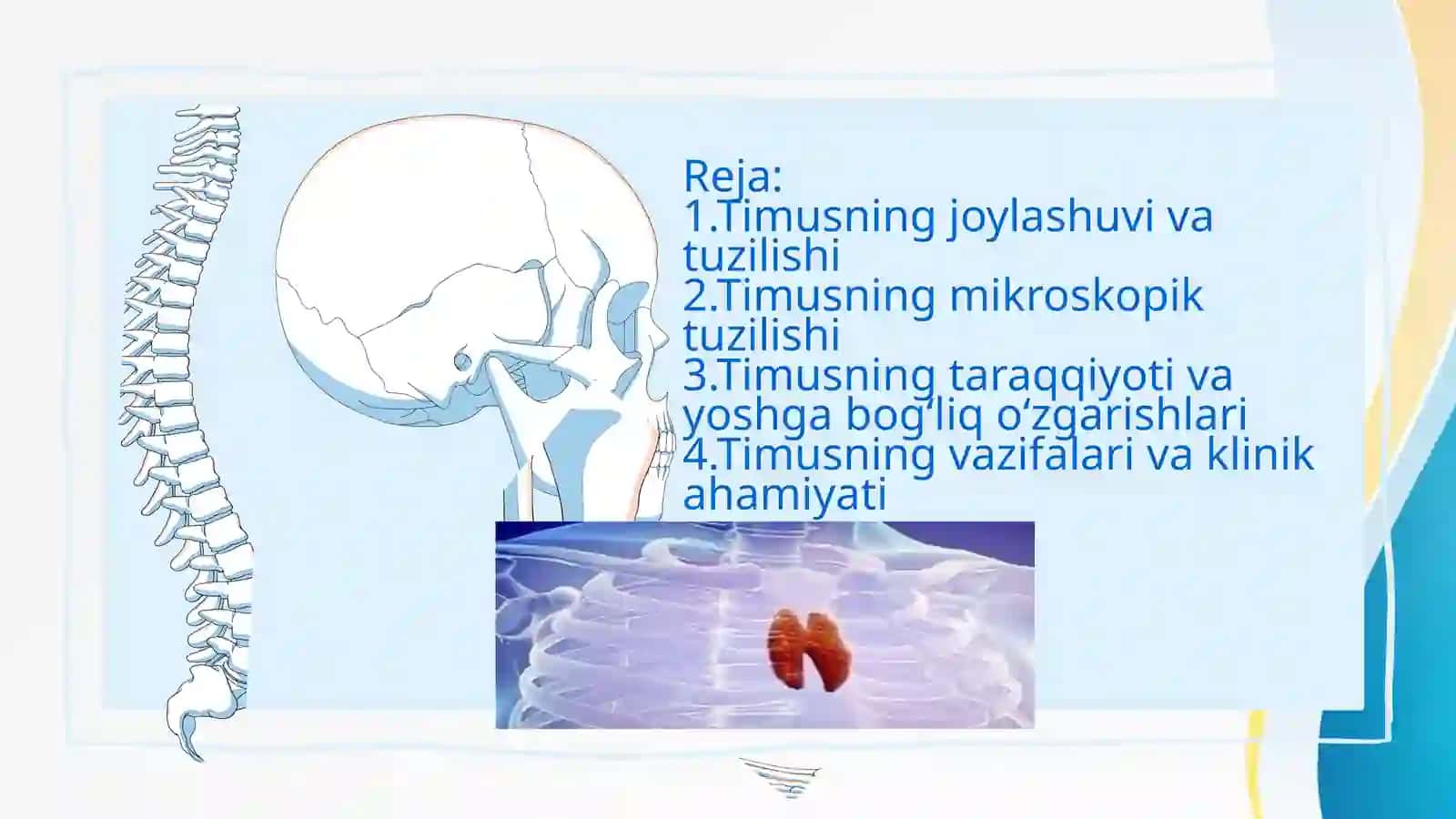 Ruxshona Xolmatovaning Odam Anatomiyasi Fanidan Tayyorlagan Mustaqil Ishi 3