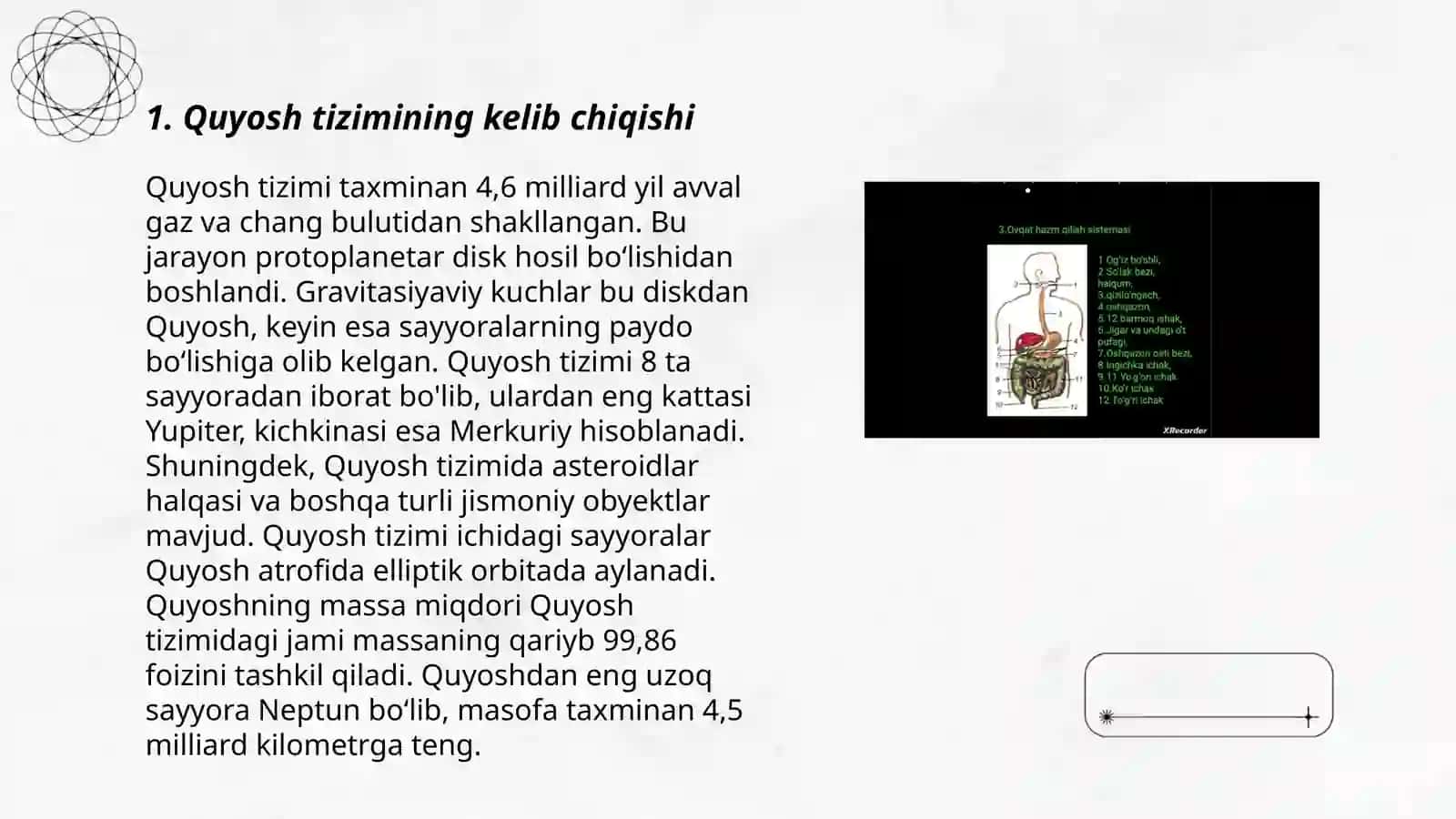 A'zolar sistemasi ontofilogenezi 3