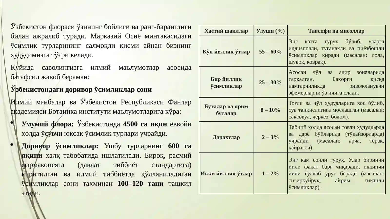Табиий доривор ўсимликлар ва уларнинг шифобахшлик хусусиятлари. Бир йиллик табиий доривор ўсимликлар мисолида. 3