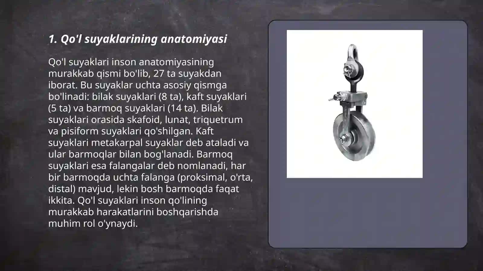 Qo'l suyaklarining anatomiyasi 3
