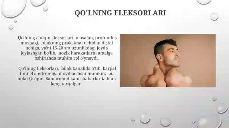 Chanoq, son, boldir va panja mushaklari 3