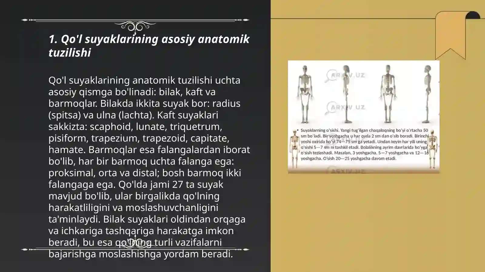 Qo'l suyaklarining asosiy anatomik tuzilishi 3