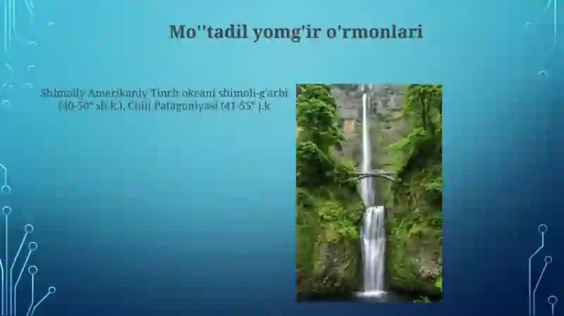 Mo'tadil iqlim mintaqasi tabiat zonalari 3