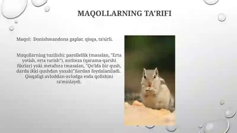 Maqollarhaqida 3