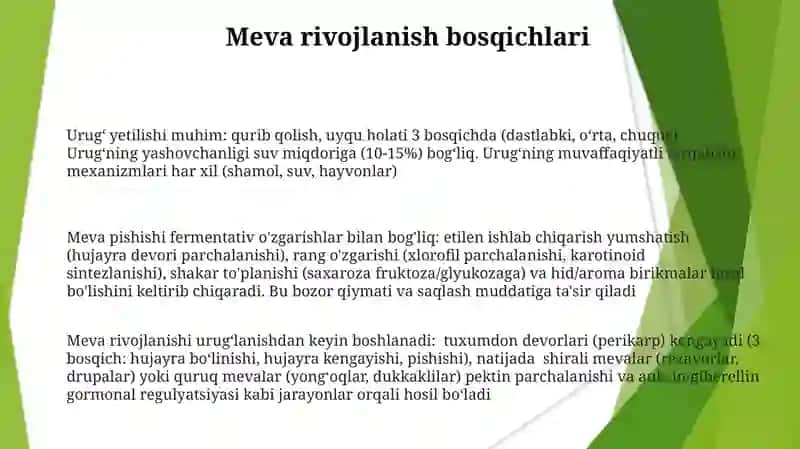 Urugʻ va meva urugʻning rivojlanishi 3