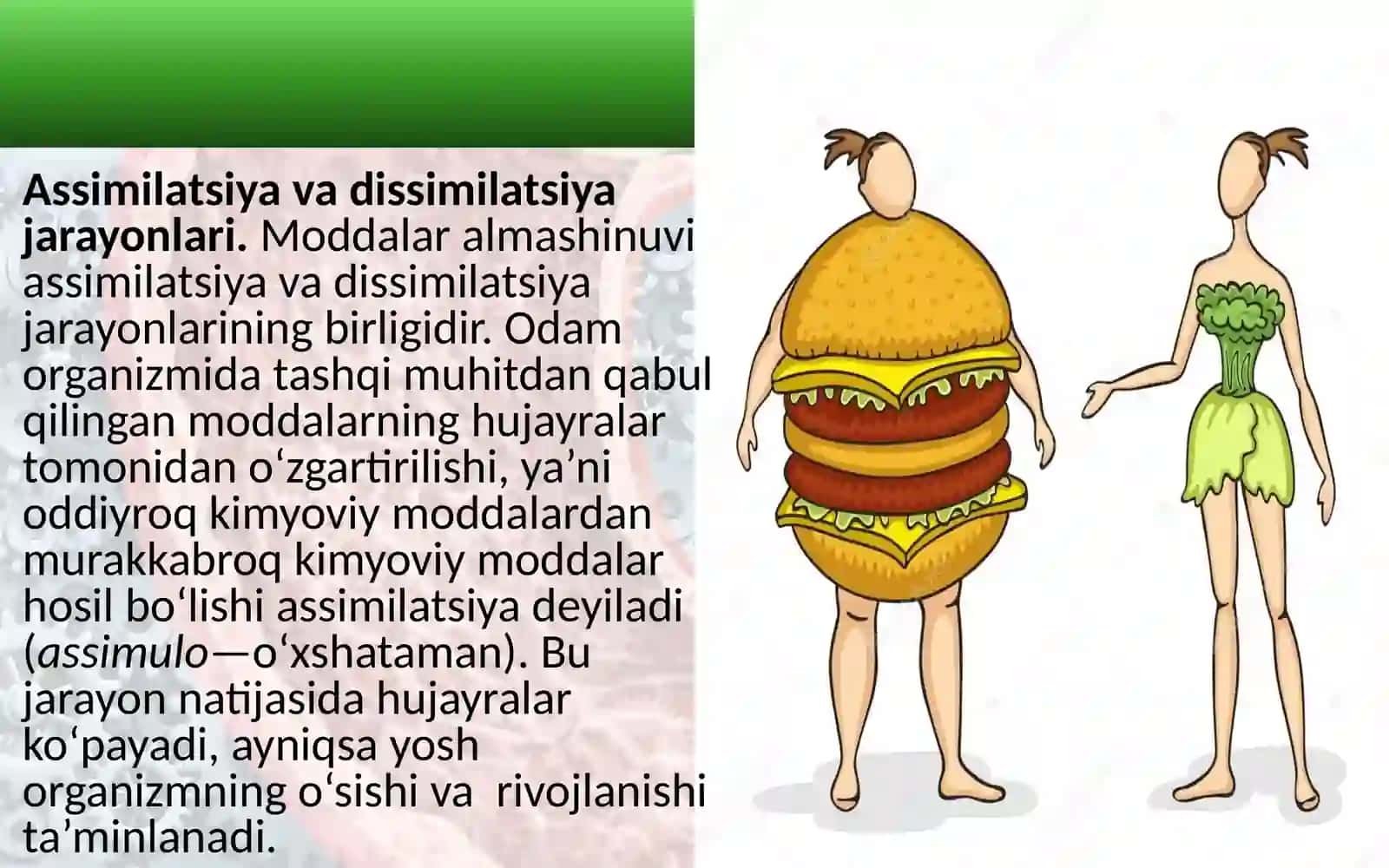"Moddalar va energiya almashinuvi haqida umumiy tushuncha" 3