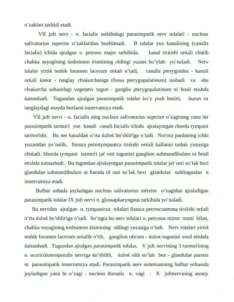 Vegetativ nerv tizimining funktsional anatomiyasi 3