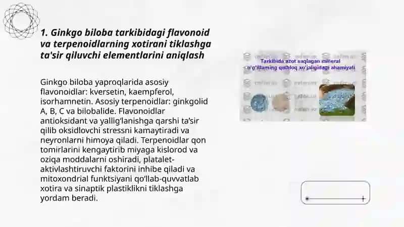 Xotirani tiklash xususiyatiga ega bòlgan elementlar saqlagan òsimliklarni aniqlash 3