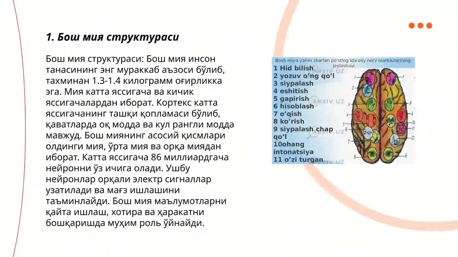 Бош мия, мияча. Вегетатив нерв тизими 3