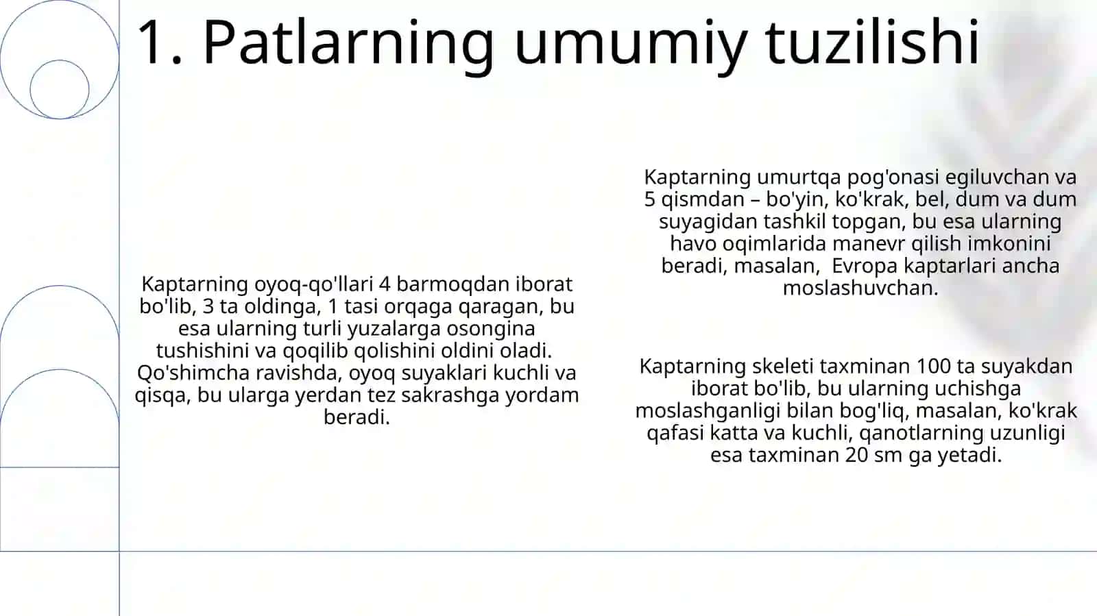 Kaptararning skeleti va pat tuzilishi 3