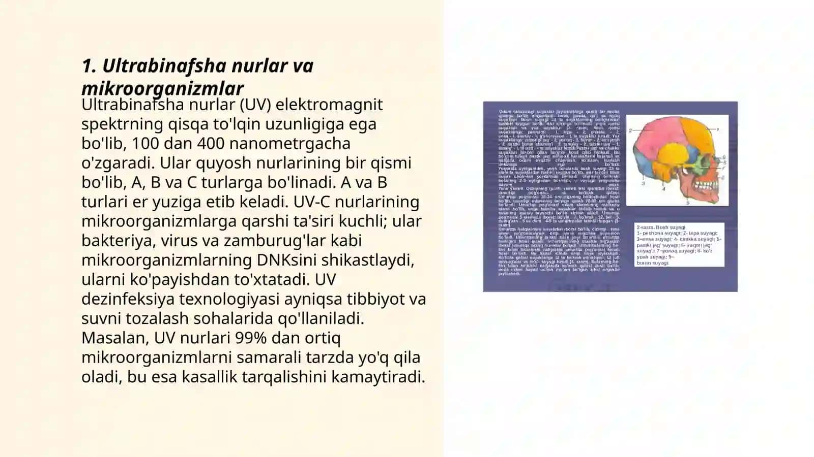 Ultrabinafsha nurlar va mikroorganizmlar 3
