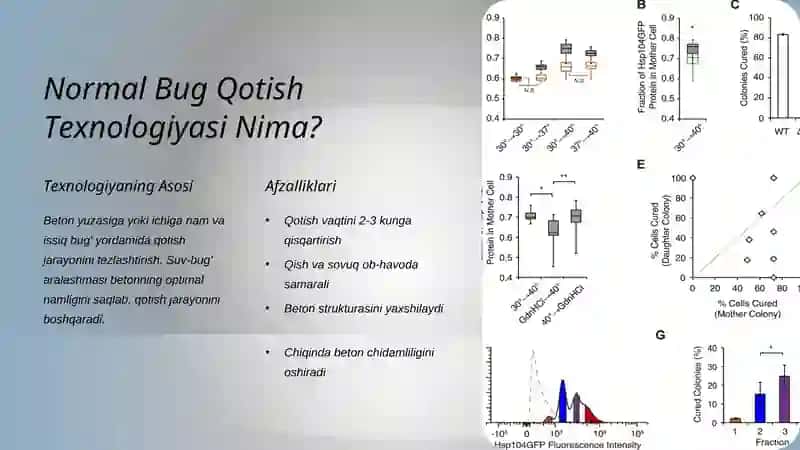 Betonlarni Normal Bug Yordamida Qotishini Tezlashtirish 3