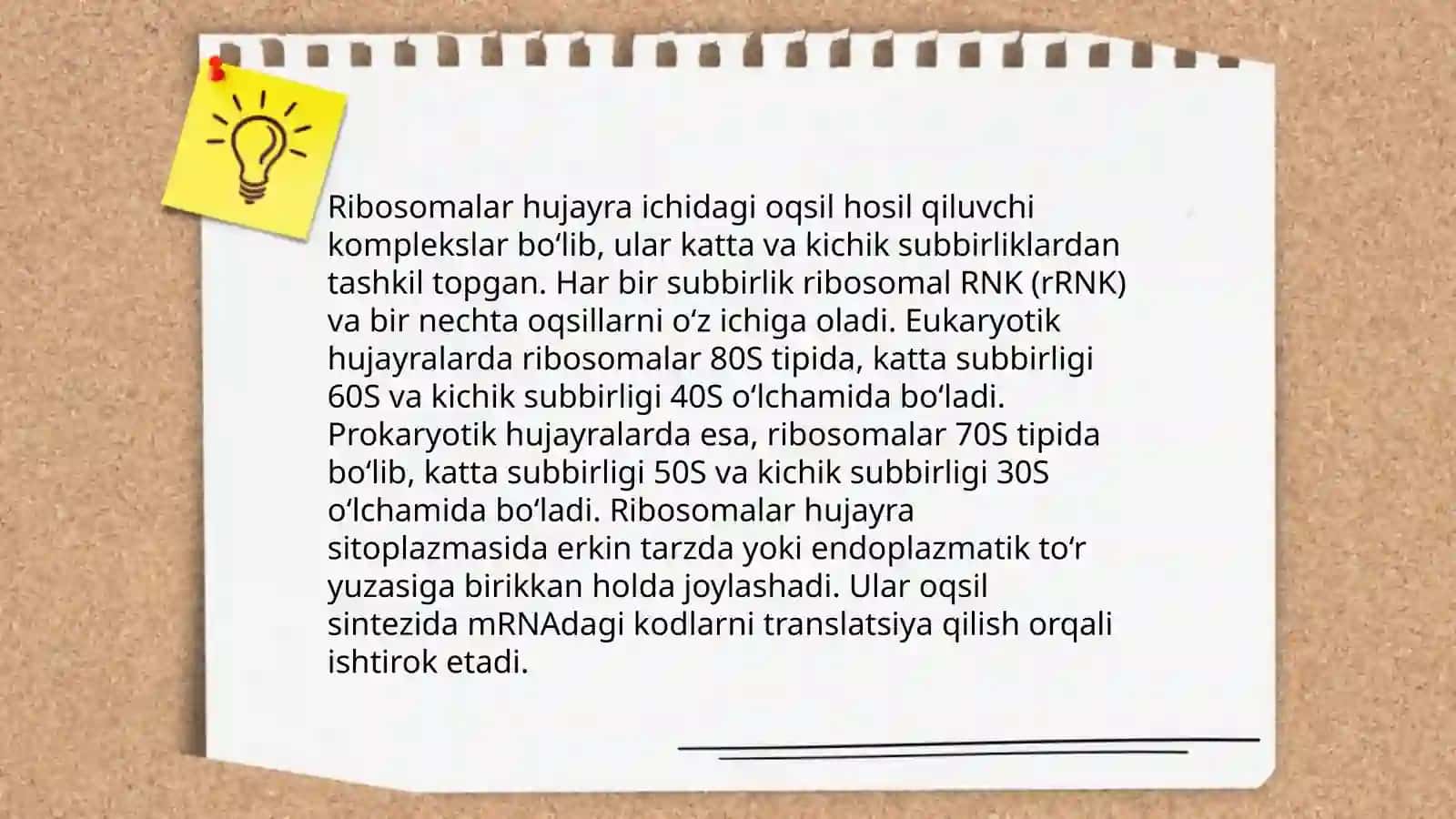 Ribasomaning mexano kimyoviy xususiyatlari 3