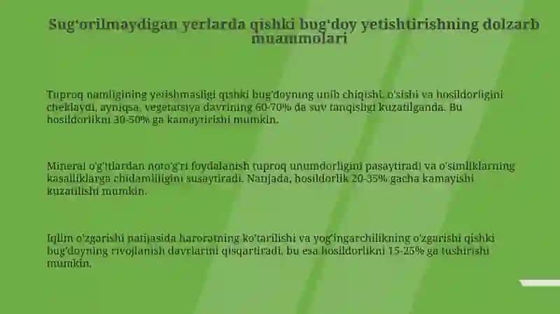 Sug'orilmaydigan erlarda qishloq bug'doyini yetishtirishning innovatsion texnologiyalari 3