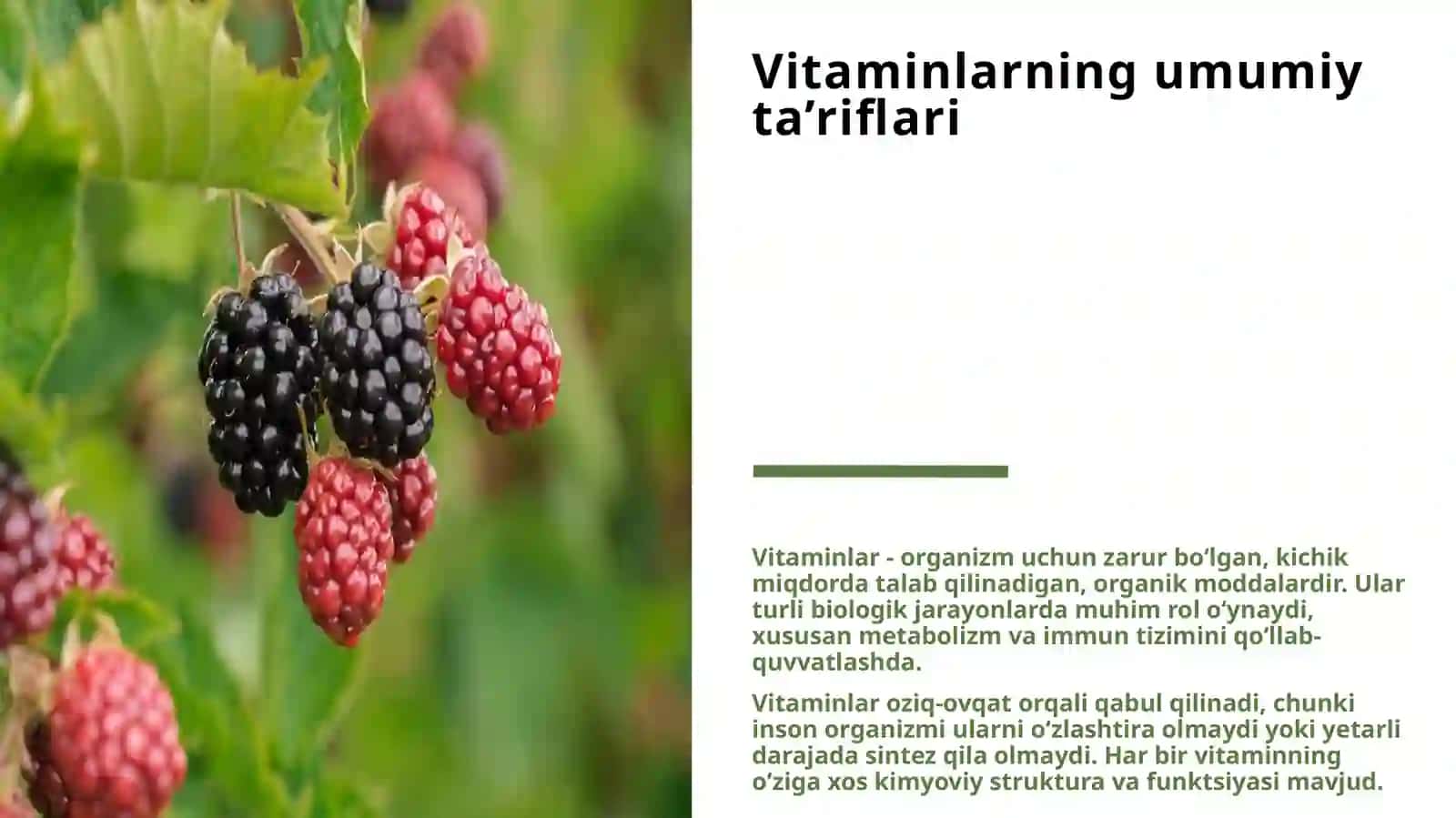 ORGANIZMNING VITAMINLAR BILAN TA'MINLANGANLIGINI ORGANISH VA BAHOLASH 3