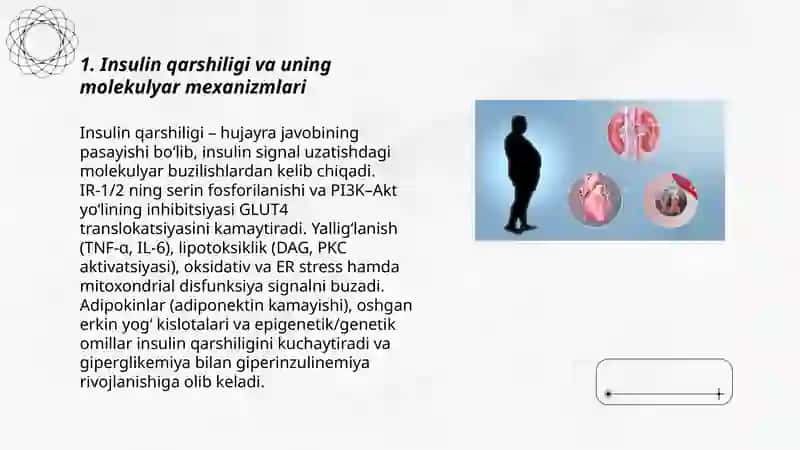 Metabolitik sindrom va ularning rivojlaniwining molekulyar mehanizmi 3