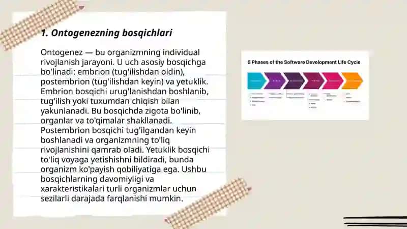 Ontogenez.Embrional taraqqiyotning xususiyatlari.Postnatal ontogenezning asosiy davrlari. Abdulaziz Yaxyoyev 3