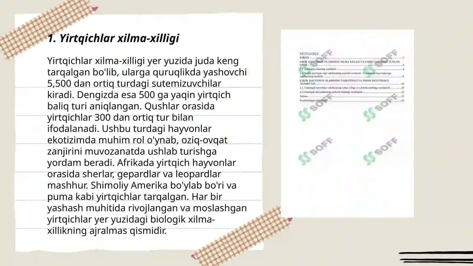 Yirtqichlar xilma-xilligi 3