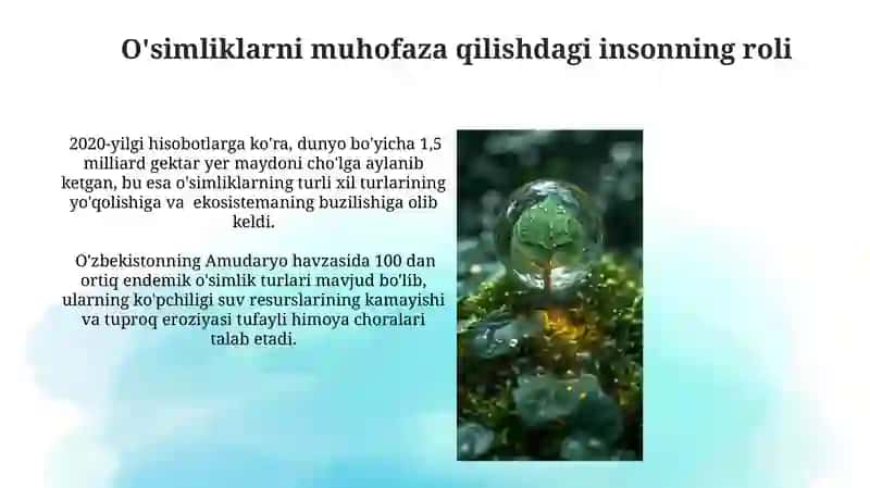 O'simliklarning inson va biosferada tutgan oʻrni va muhofazasi 3