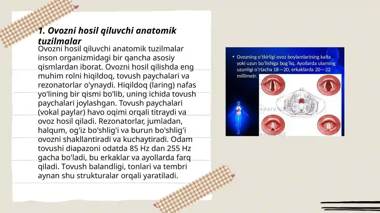 Nutq ovoz bo‘limining anatomo-fiziologik faoliyati 3
